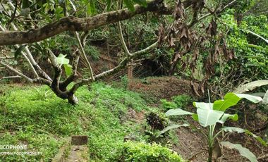 FOR SALE: 10, 266 SQM Vacant lot in Bamban, Tarlac City