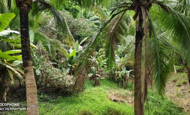 FOR SALE: 10, 266 SQM Vacant lot in Bamban, Tarlac City