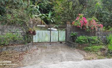 FOR SALE: 10, 266 SQM Vacant lot in Bamban, Tarlac City