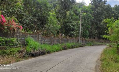 FOR SALE: 10, 266 SQM Vacant lot in Bamban, Tarlac City