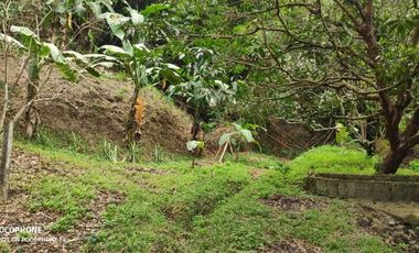 FOR SALE: 10, 266 SQM Vacant lot in Bamban, Tarlac City