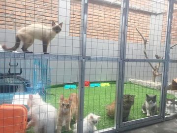 Rumah Dijual Murah di Kota Salatiga