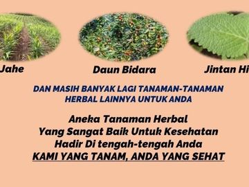 Tanah Kavling Investasi di Maros Samping Pesantren di Jamin AMAN