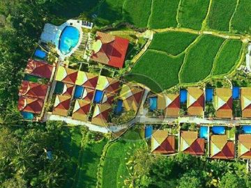 DIJUAL CEPAT VILLA LUAS TERKENAL DI UBUD BALI VIEW SAWAH HIJAU