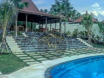 DIJUAL CEPAT VILLA LUAS TERKENAL DI UBUD BALI VIEW SAWAH HIJAU