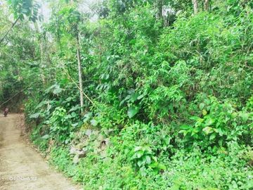 Tanah kemuning 780m 200jt kontur datar diatas jalan