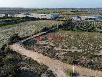 Este terreno es ideal para diversos proyectos de desarrollo, tanto en el sector agrícola, inmobiliario, como en el sector industrial. 

Característi