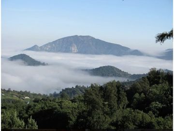 Vende Parcela, casa patronal, Olmue La Dormida