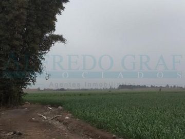 Terrenos Agricolas Venta CAR. PANAMERICANA NORTE  - CHANCAY