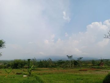 DIJUAL TANAH DATAR COCOK DIBANGUN RUMAH TINGGAL DLL KERJO KARANGANYAR