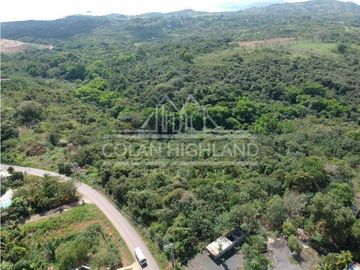 Se Vende Terreno en Chorrera (Carretera que conduce a la Mitra)