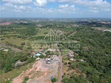 Se Vende Terreno en Chorrera (Carretera que conduce a la Mitra)