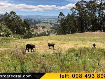 Terreno de venta en Cojitambo – código:15216