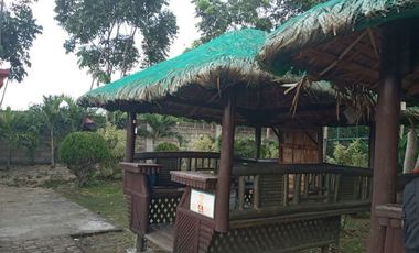 291 Sqm Residential Lot for Sale in Vista Verde Consolacion Cebu with Mountain View