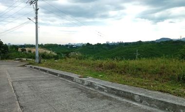 291 Sqm Residential Lot for Sale in Vista Verde Consolacion Cebu with Mountain View