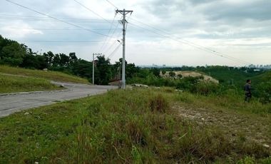 291 Sqm Residential Lot for Sale in Vista Verde Consolacion Cebu with Mountain View