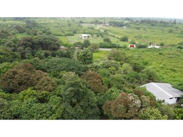 🌴 ¡Descubre tu paraíso en Pacoche, Manta! 🌳Quinta en venta