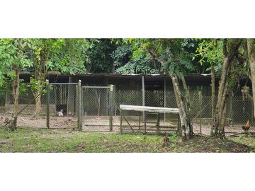🌴 ¡Descubre tu paraíso en Pacoche, Manta! 🌳Quinta en venta