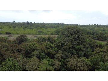 🌴 ¡Descubre tu paraíso en Pacoche, Manta! 🌳Quinta en venta