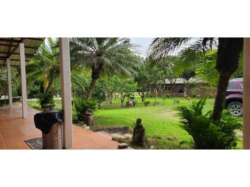 🌴 ¡Descubre tu paraíso en Pacoche, Manta! 🌳Quinta en venta