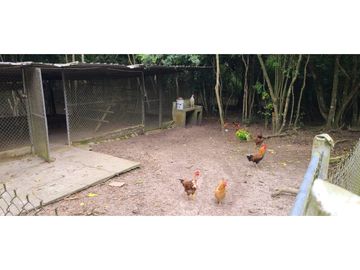 🌴 ¡Descubre tu paraíso en Pacoche, Manta! 🌳Quinta en venta