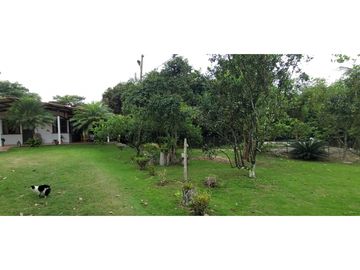 🌴 ¡Descubre tu paraíso en Pacoche, Manta! 🌳Quinta en venta