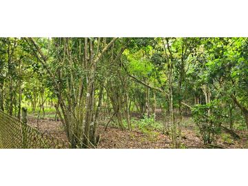🌴 ¡Descubre tu paraíso en Pacoche, Manta! 🌳Quinta en venta