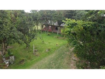 🌴 ¡Descubre tu paraíso en Pacoche, Manta! 🌳Quinta en venta