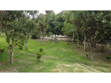 🌴 ¡Descubre tu paraíso en Pacoche, Manta! 🌳Quinta en venta