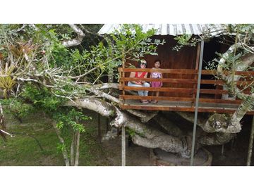 🌴 ¡Descubre tu paraíso en Pacoche, Manta! 🌳Quinta en venta