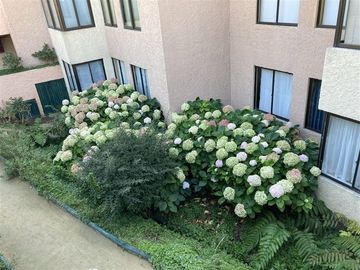 Departamento en Venta en Condominio Vista Mar