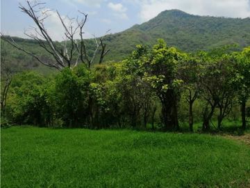 RANCHO DOBLE PROPOSITO EN JIQUIPILAS