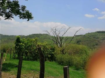 RANCHO DOBLE PROPOSITO EN JIQUIPILAS