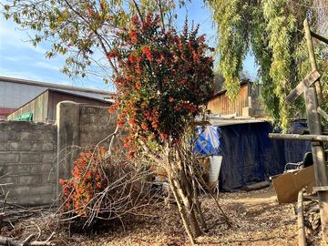 Casa en Venta en Araus 129