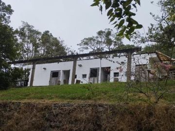 finca en venta en dapa. Cod V10677