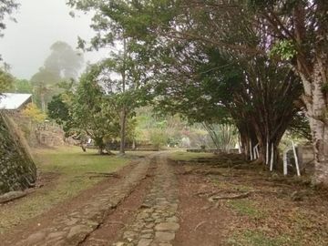 finca en venta en dapa. Cod V10677