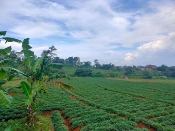 Tanah murah Cibiru kota Bandung 5600m shm strategis