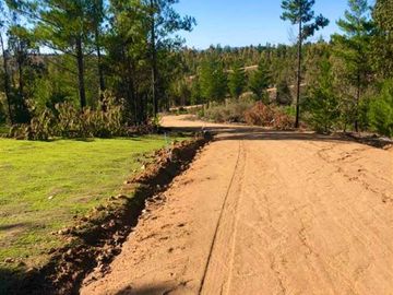 Parcelas en Cauquenes entrega inmediata 5.000m2 planas