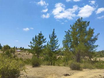 Parcelas en Cauquenes entrega inmediata 5.000m2 planas