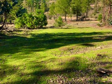 Parcelas en Cauquenes entrega inmediata 5.000m2 planas