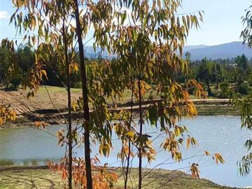 Parcelas en Cauquenes entrega inmediata 5.000m2 planas