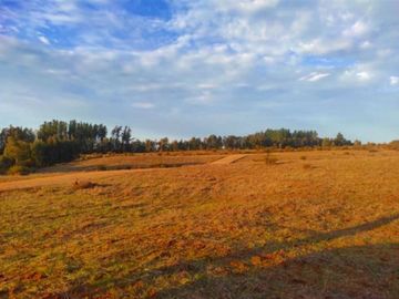 Parcelas en Cauquenes entrega inmediata 5.000m2 planas