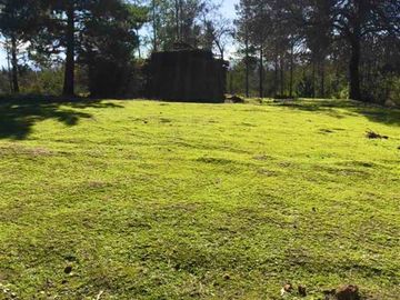 Parcelas en Cauquenes entrega inmediata 5.000m2 planas