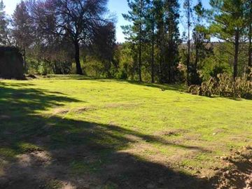 Parcelas en Cauquenes entrega inmediata 5.000m2 planas