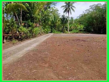 Kapling Perumahan 500 Meter Lotte Grosir Tegal: SHM Unit