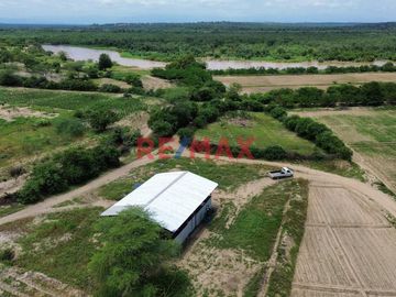 🚜 ¡Oportunidad Única para Inversionistas y Agricultores! 🌾

Descubra el potencial de este extenso terreno agrícola de 109.50 hectáreas situado en el