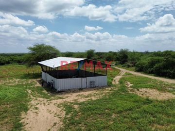 🚜 ¡Oportunidad Única para Inversionistas y Agricultores! 🌾

Descubra el potencial de este extenso terreno agrícola de 109.50 hectáreas situado en el