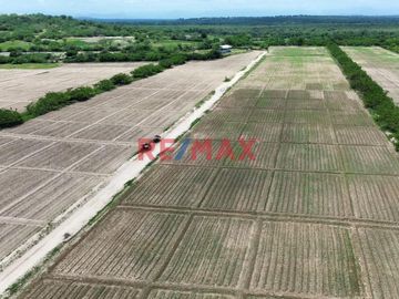🚜 ¡Oportunidad Única para Inversionistas y Agricultores! 🌾

Descubra el potencial de este extenso terreno agrícola de 109.50 hectáreas situado en el