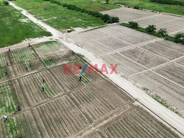 🚜 ¡Oportunidad Única para Inversionistas y Agricultores! 🌾

Descubra el potencial de este extenso terreno agrícola de 109.50 hectáreas situado en el