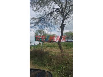 🚜 ¡Oportunidad Única para Inversionistas y Agricultores! 🌾

Descubra el potencial de este extenso terreno agrícola de 109.50 hectáreas situado en el